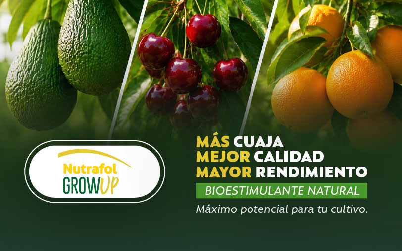 Molifos agropuelma