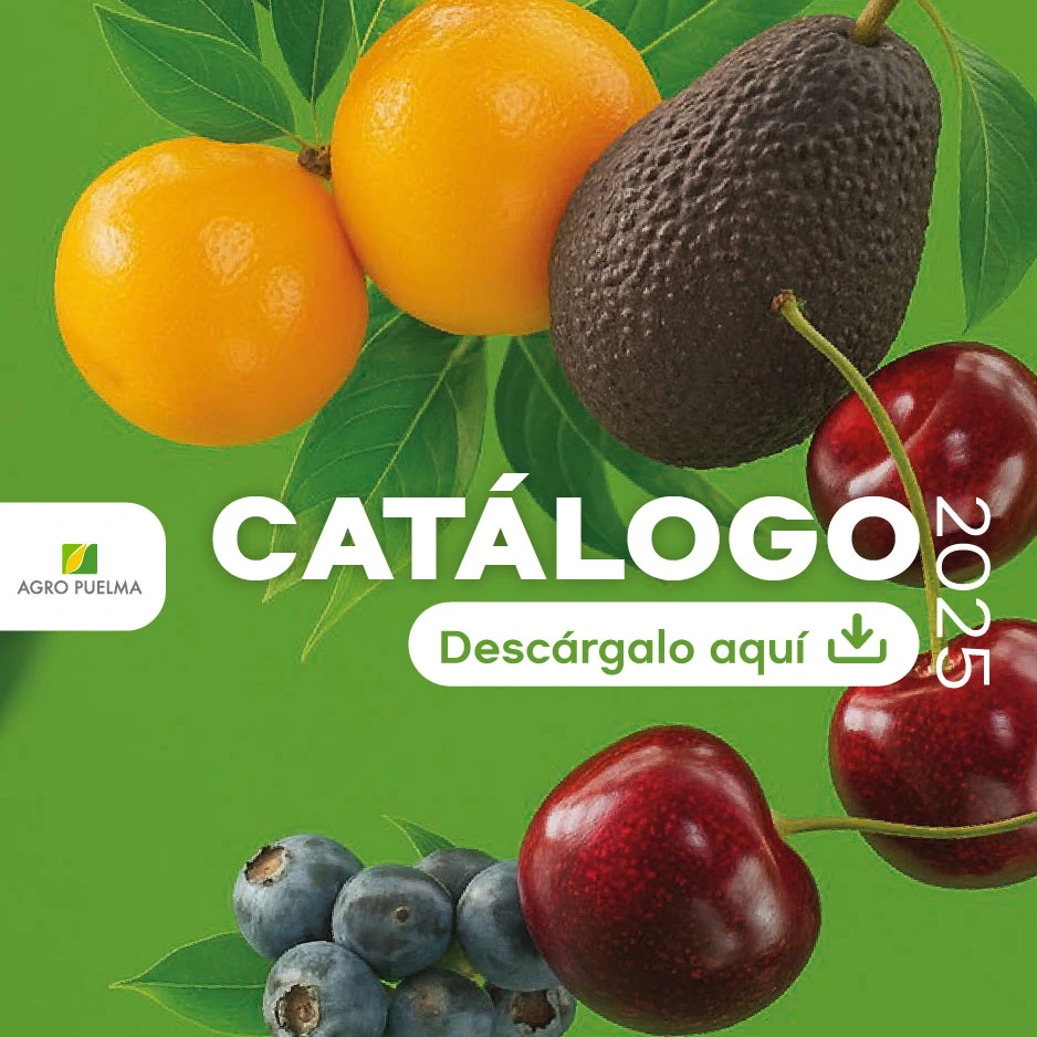 Catálogo Agropuelma - Mobile
