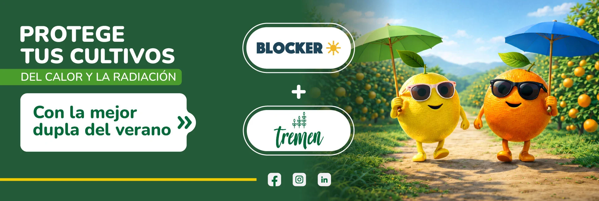 Estratégia de verano Agropulema