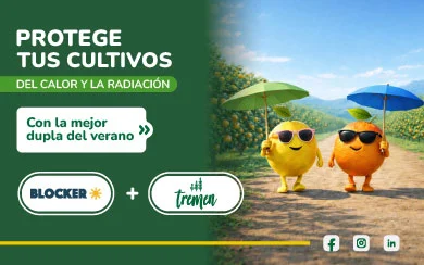 Estratégia verano Agropuelma