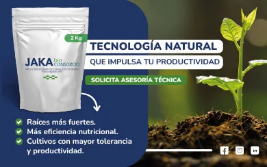 Jaka Bio Consorcio